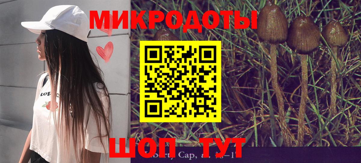 Холмск  Галлюциногенные грибы Magic Shrooms  Вход с VPN  Псилоцибиновые грибы Magic Shrooms 